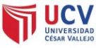 Universidad Cesar Vallejo UCV